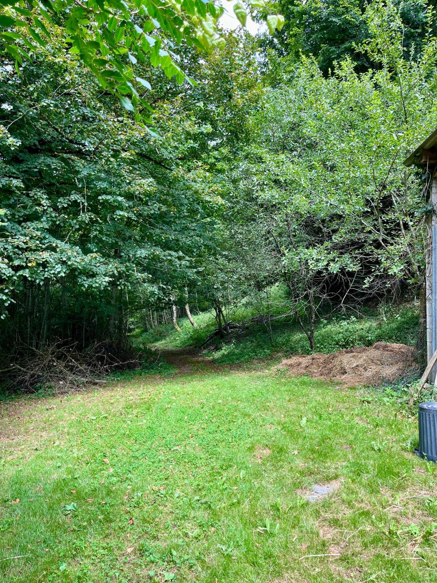 Parenthese En Foret - Lodge Baliveau Le Bez  Exteriér fotografie